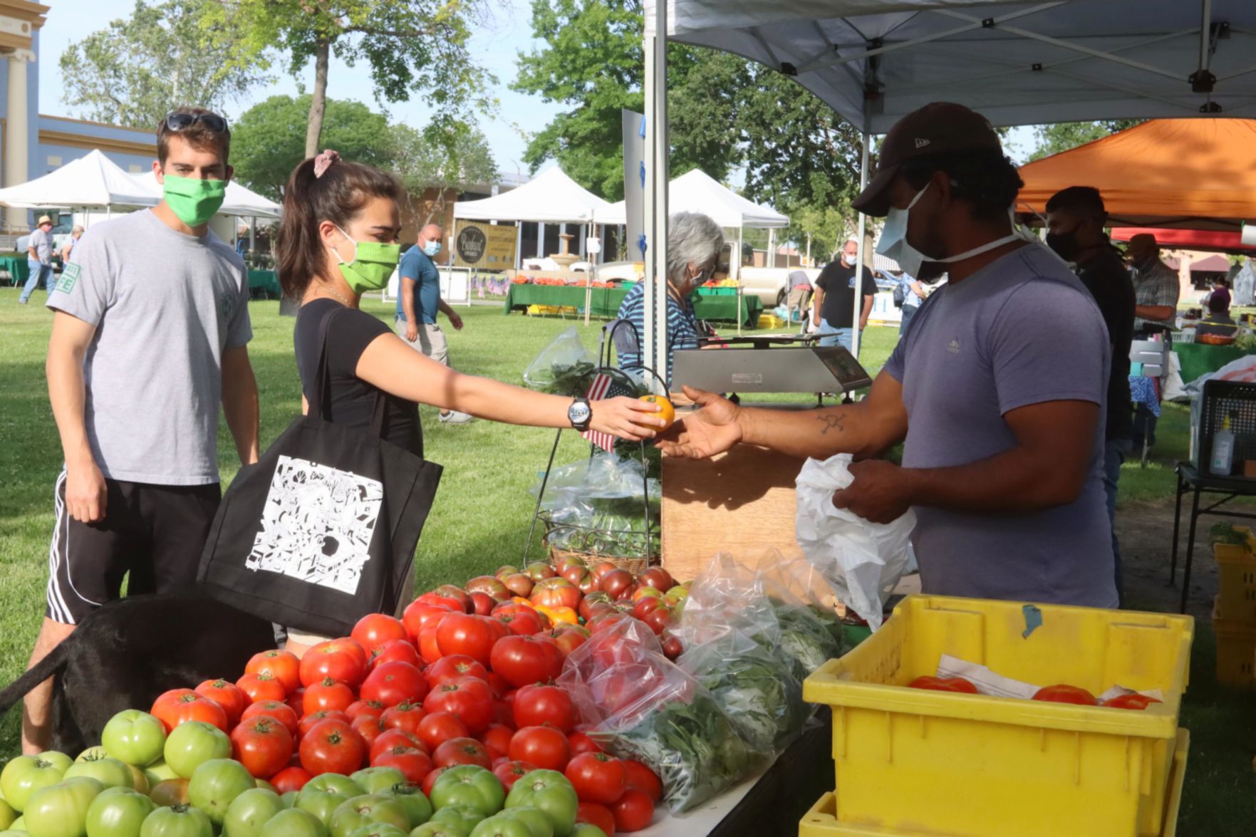 Thursday Night Market Place hosts first certified farmers market